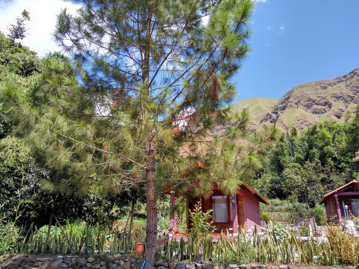 Sembalun Kita Cottage Sembalunlawang Esterno foto